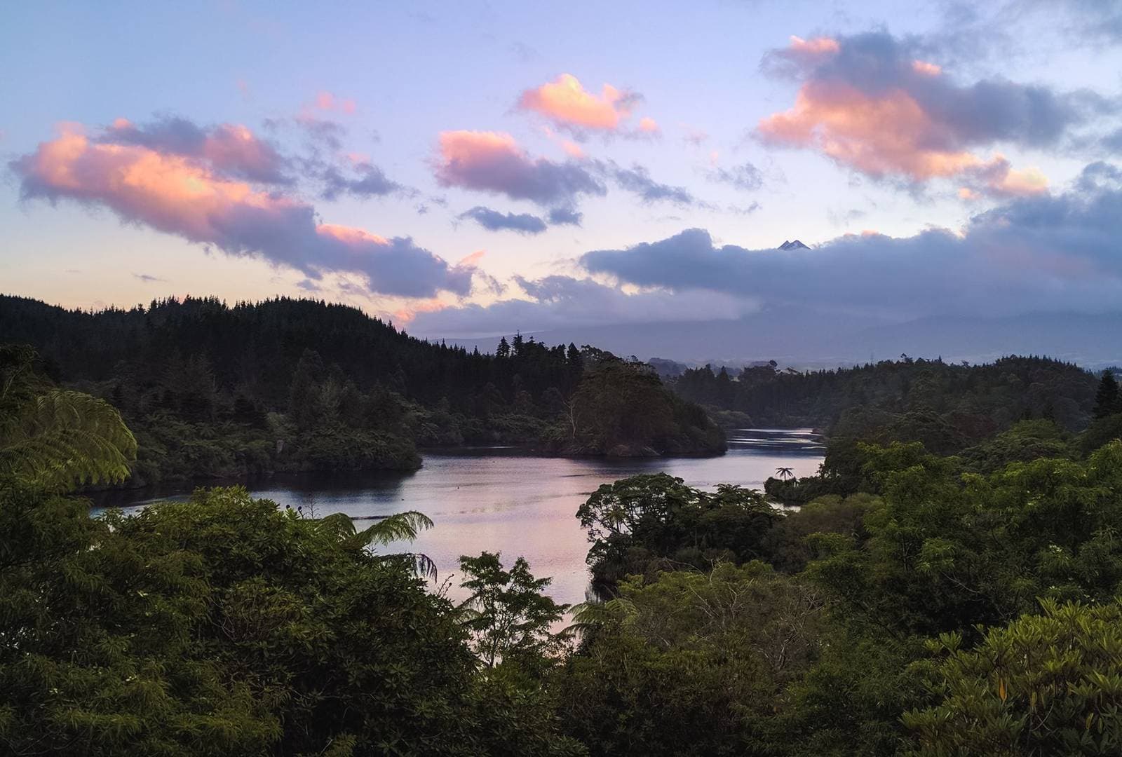 Whanganui River valley New Zealand, the region where Manawatū-Whanganui businesses are measured in the NZ AI-Findability Index