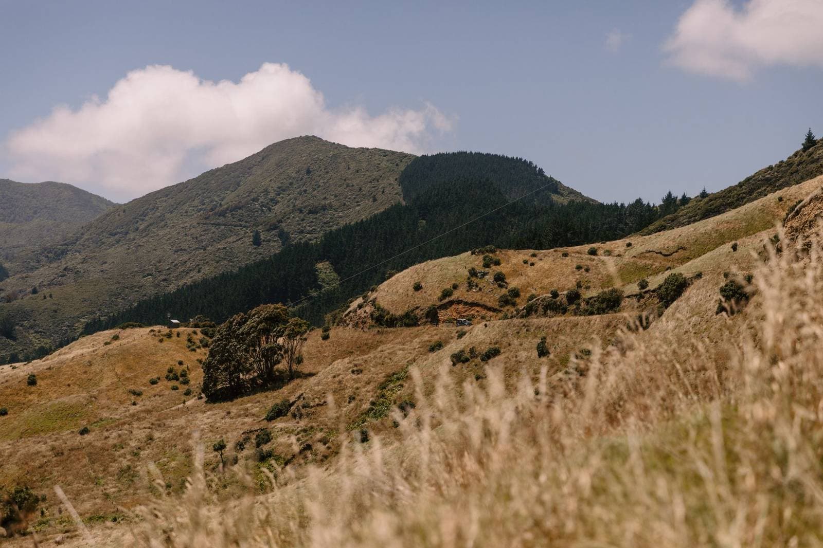 Marlborough vineyards Wairau Valley New Zealand, the region where Marlborough businesses are measured in the NZ AI-Findability Index