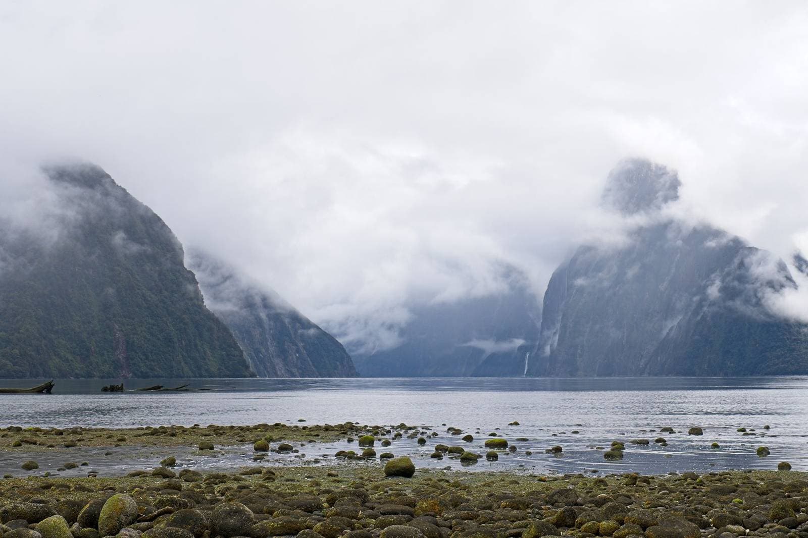 Milford Sound Fiordland Southland New Zealand, the region where Southland businesses are measured in the NZ AI-Findability Index
