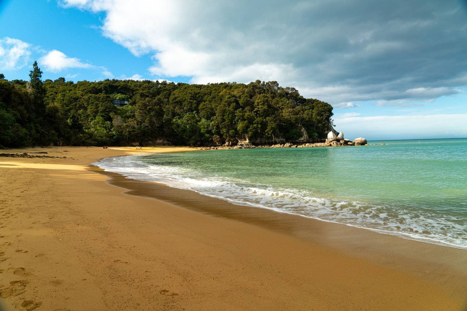 Abel Tasman National Park golden beach New Zealand, the region where Tasman businesses are measured in the NZ AI-Findability Index
